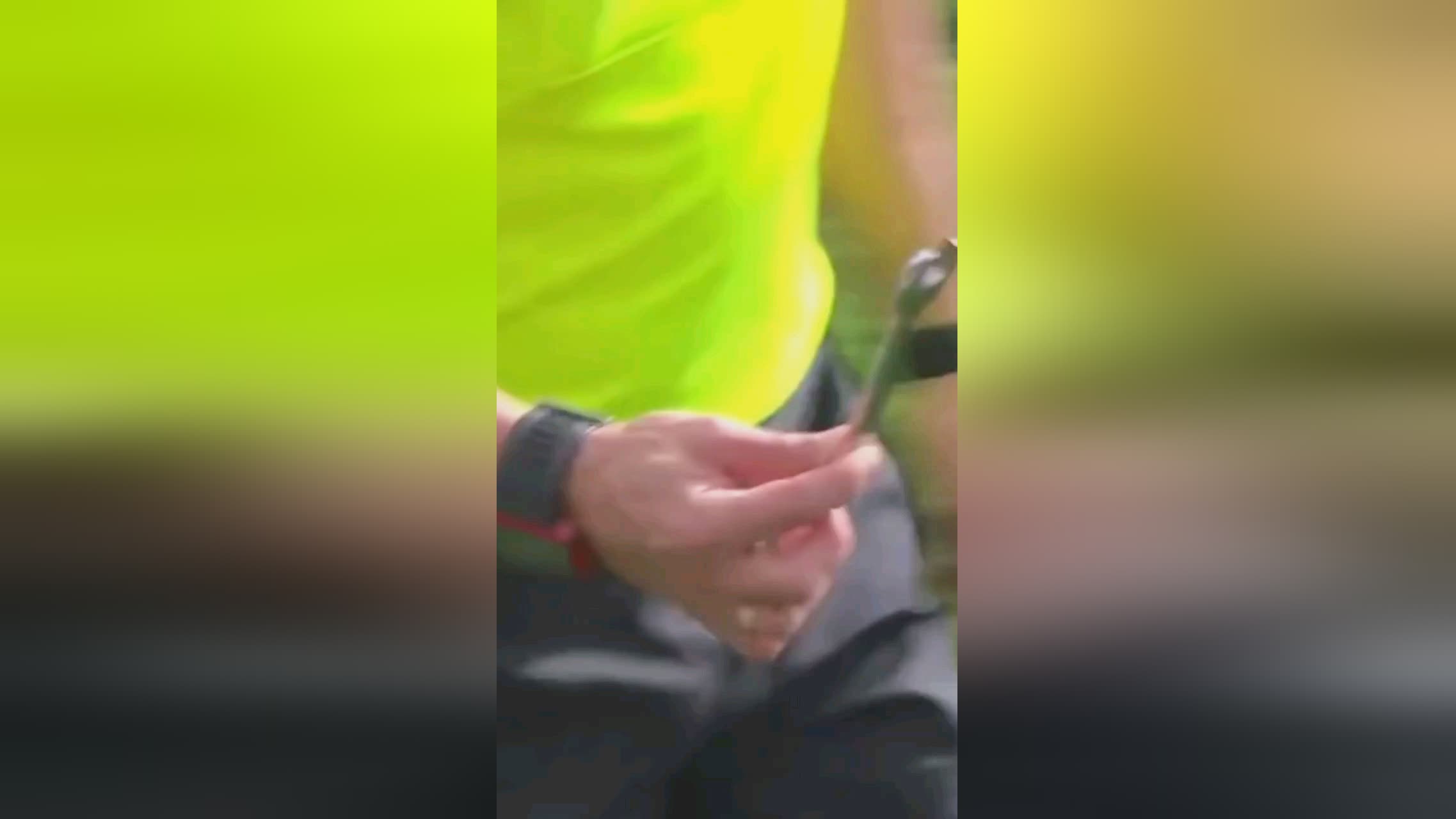 家人